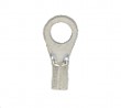 Non-Insulated Closed Ring Terminal, 16-14 AWG, Bolt #10