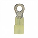 Nylon Insulated Closed Ring Terminal, 12-10 AWG, Bolt #8