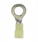 Nylon Insulated Closed Ring Terminal, 12-10 AWG, Bolt 5/16"